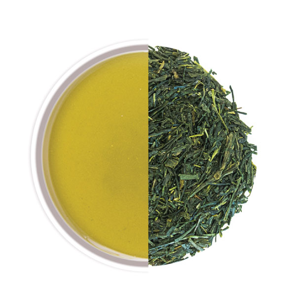 Sencha Fukuyu - Thés et infusions haut de gamme - La Compagnie d'Oriant