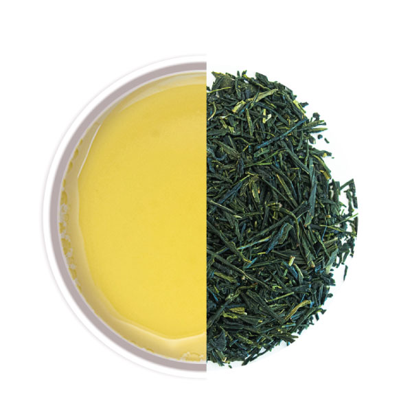 Sencha Uchiyama - Thés et infusions haut de gamme - La Compagnie d'Oriant